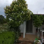 Apartament Neva Bilice