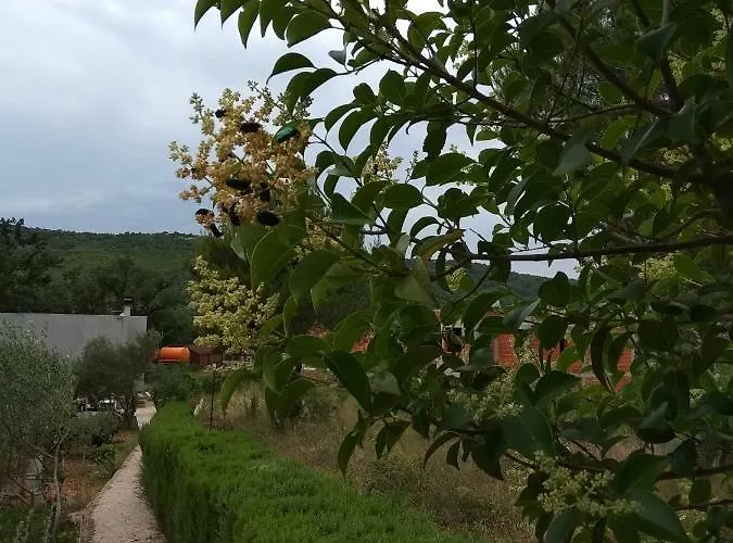 Neva Apartment Bilice