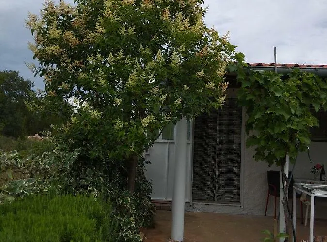 Apartment Neva Bilice